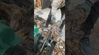 Dry rot wood splitting process- Good tools and machinery can increase work efficiency
