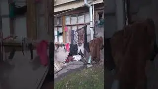 В Одесском дворике!