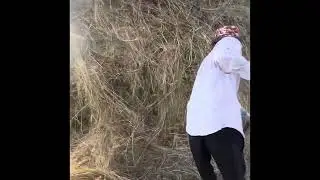 Чоп сезон башталды 🇰🇬👍