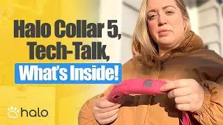Halo Collar 5 Review: Building a Halo GPS Dog Fence in Minutes | Wireless Dog Fence Demo