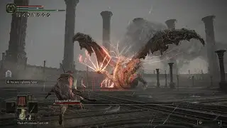 playing with a bad dragon (no damage) | Elden Ring