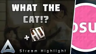 [osu!] WHAT THE CAT!? +HD