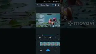 Movavi Clips - Фильтры (демо видео)