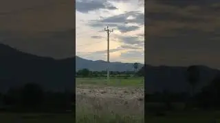 Natural near the street in countryside #shorts