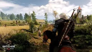 The Witcher 3 Wild Hunt - Ведьмачьи Древности  