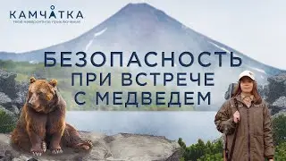 Уровень 3 Встреча с медведем