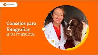 Consejos para fotografiar a tu mascota | Compensar