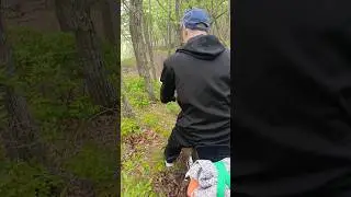 #альфа мыс Лапласа обратный путь альфа может мы это сделали