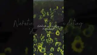 Chy - Di Ko Pala Kaya