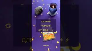 СРОЧНАЯ НОВОСТЬ ДЛЯ ТЕБЯ ⚡️⚡️⚡️