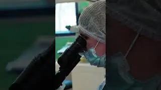 ВЫ ДОЛЖНЫ ЭТОГО УВИДЕТЬ😲! Где зарождается НОВАЯ ЖИЗНЬ #наука  #жизнь