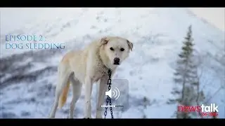 Ep 2 (hd on): Dog Sledding