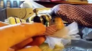 Fukubukuru Opening