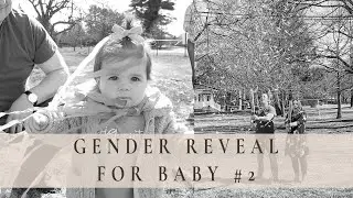 SURPRISE! We Are Pregnant! Gender Reveal For Baby #2 | Life Update