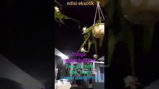 #misteri