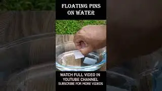 Pins floating on water !!! Surface Tension Experiment...