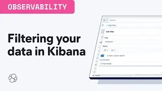 Filtering data in Kibana