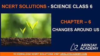NCERT Solutions for Class 6 Science Chapter 6 Changes Around us