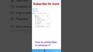 How to unhide files in 