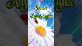 Доброе утро! Желаю вам счастья! 