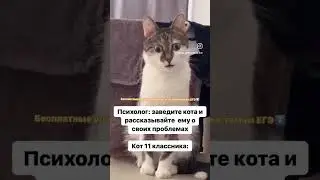 Чтобы получить доступ к Бесплатной платформе подготовки к ЕГЭ, переходи по ссылке в шапке профиля ❤️