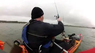 Jumping Trout @ Pitsford Reservoir 23rd January 2016