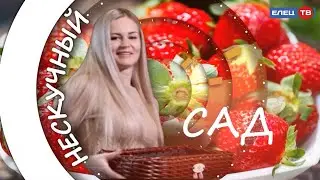 Готовим розы к зиме с Ларисой Анохиной в очередном выпуске рубрики «Нескучный сад»