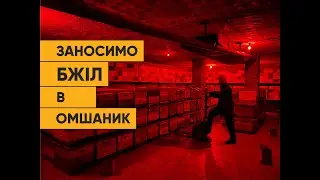 Заносимо бджіл в омшаник. Мала механізація.