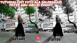 Tutorial Edit Foto Ala Selebgram di inshot terbaru ||Filter Abu -abu 😍