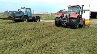 Трамбовка силосной ямы Т-150К и Кировец К-739. Заготовка силоса 2020.