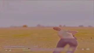 𝓦𝓸𝓷𝓭𝓮𝓻 𝓘𝓯 𝓨𝓸𝓾 𝓒𝓪𝓻𝓮 "Dayz Montage"