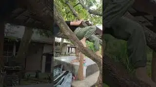panen duren jumbo di pekarangan