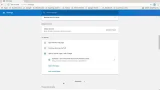 Setting up sapling flash in google chrome