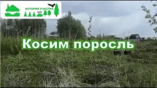 Косим поросль