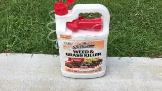 Spectracide Weed and Grass Killer - 2nd part - 36 to 72hr review