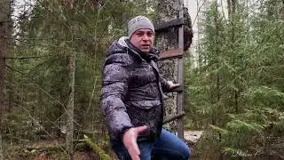 Поиски сизого орла