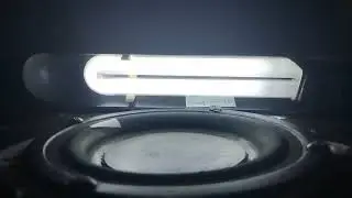 нормальный флекс дина