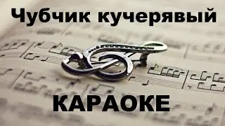 Чубчик кучерявый. Караоке.