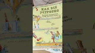 Как все устроено?