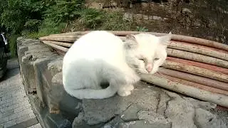 Грузия в ноябре