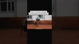 ⚡я всегда онлайн в телеграме - @eqvirey