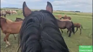 Жеребец Малыш это сила и мощь. Ещё один коленвал пополам. Сильные дожди затопили загон.