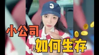 2024小公司如何生存|老板必看