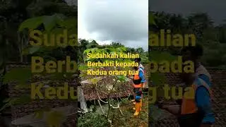 PERJUANGAN SEORANG AYAH 