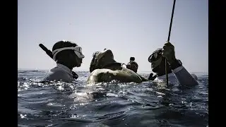 Surface Black Out during AIDA Freediving World Championship 2023 - Marianna Gillespie