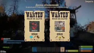 IQHeadReward - награды за голову