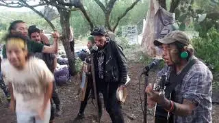 perro trampero - homlees