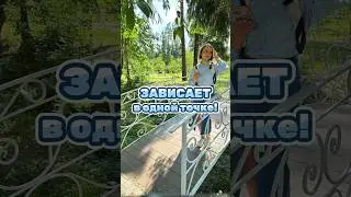 Устает через 3 минуты занятий!😳 Продолжение читайте в тг канале, ссылка в шапке профиля