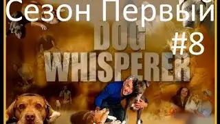 Переводчик с собачьего видео сезон 1 серия 8