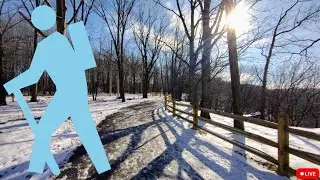 Virtual x Forest Hiking 2.06 / snow, sun, ice